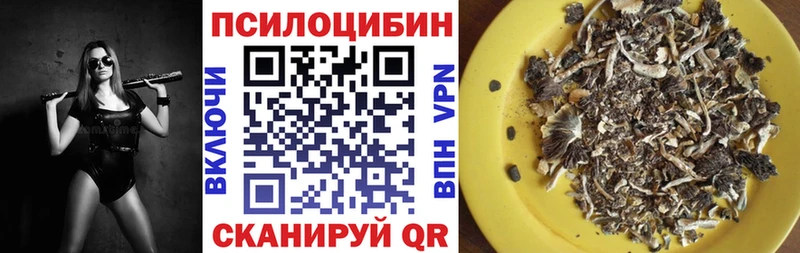 Псилоцибиновые грибы ЛСД  Кольчугино 