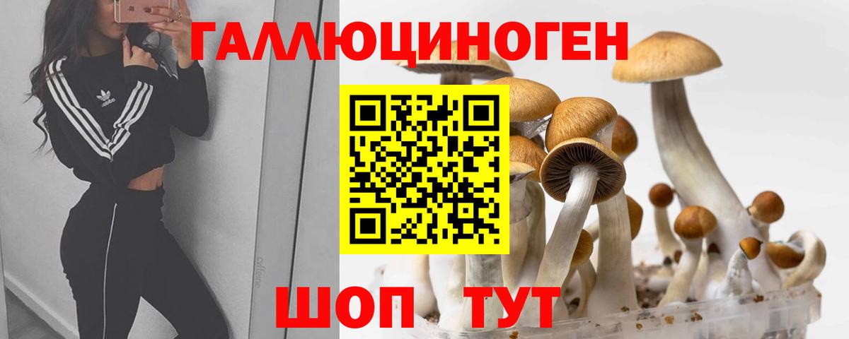 Псилоцибиновые грибы Psilocybine cubensis  Псилоцибиновые грибы Cubensis  Кольчугино  Вход с VPN 